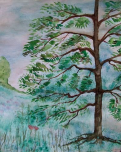 Little-tree-aquarel-Stan-Rams