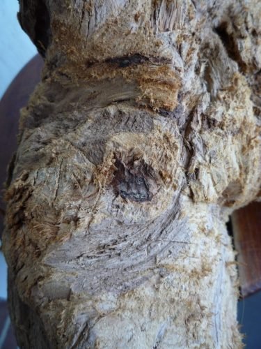 oilpainting stan rams