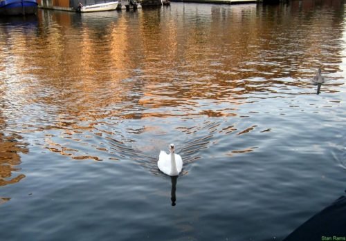 Grachten Paradijs Amsterdam Foto Art Stan Rams